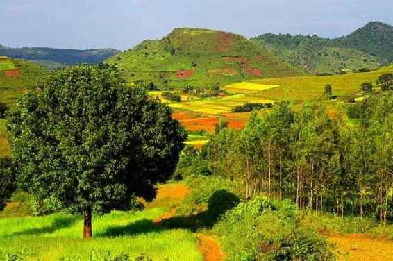 8 Underrated And Exquisite Places Of South India Tripoto Ingilizce tuerkce online soezluek tureng. 8 underrated and exquisite places of