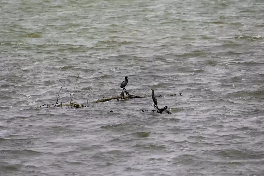 Photo of The Scenic Sambarlan