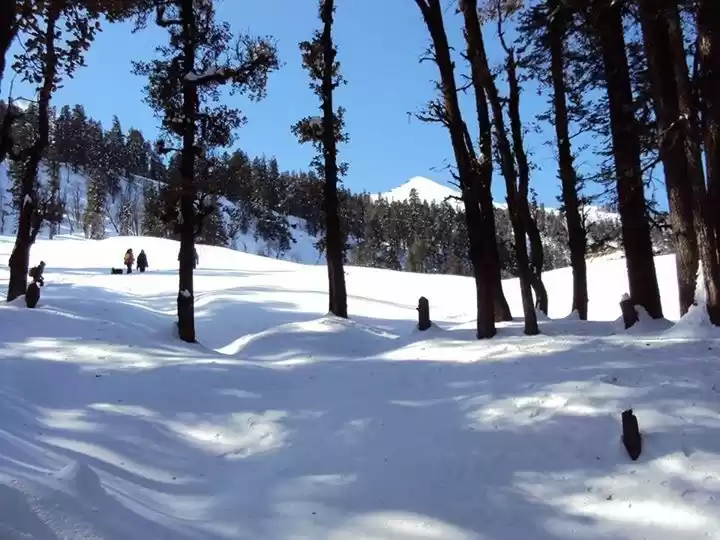 Photo of Unpredictable life,