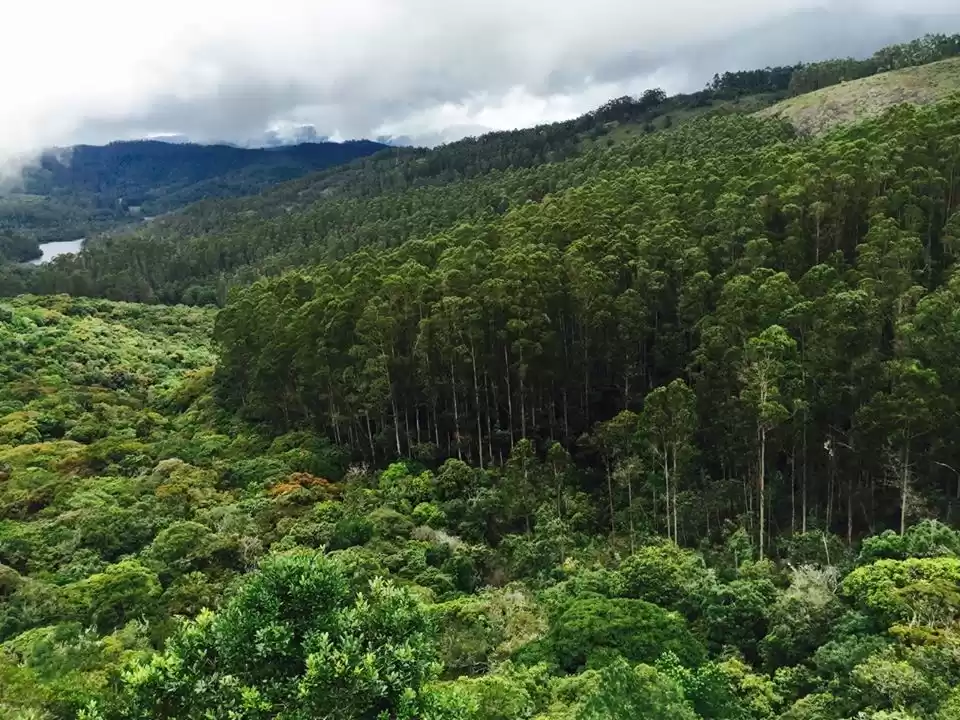 Photo of Above the Clouds & B