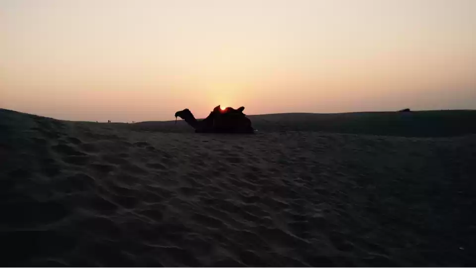 Photo of Padharo Mhare Des!