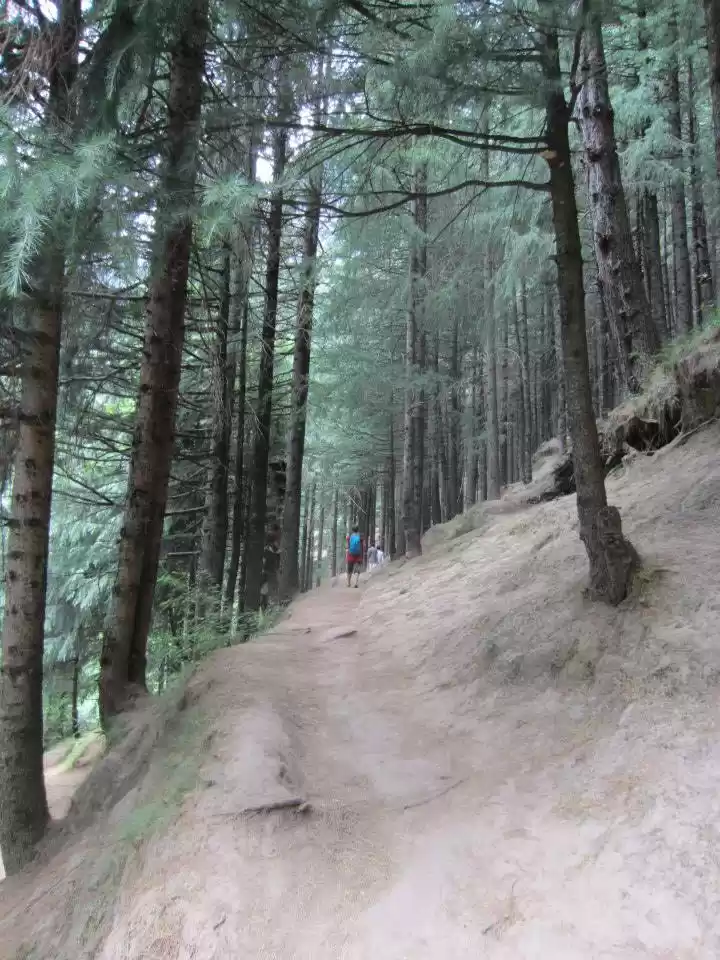 Photo of A Famously Unknown W