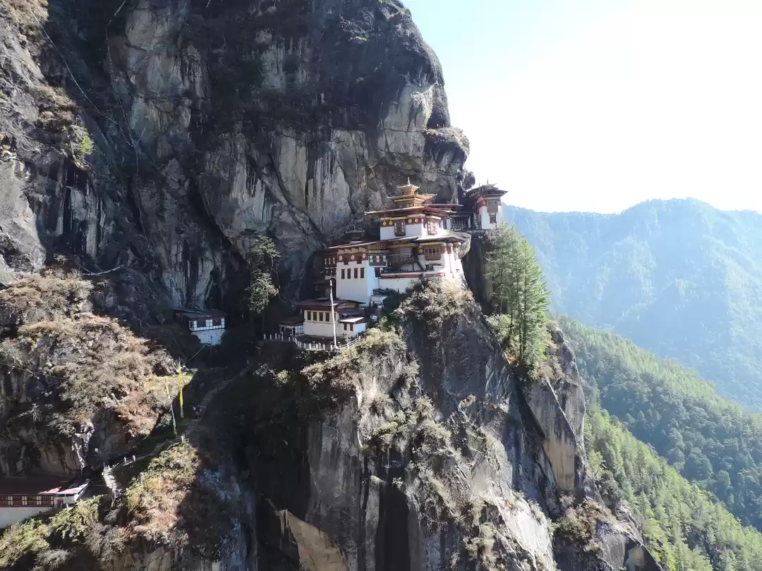 Photo of WHERE HAPPINESS MATT