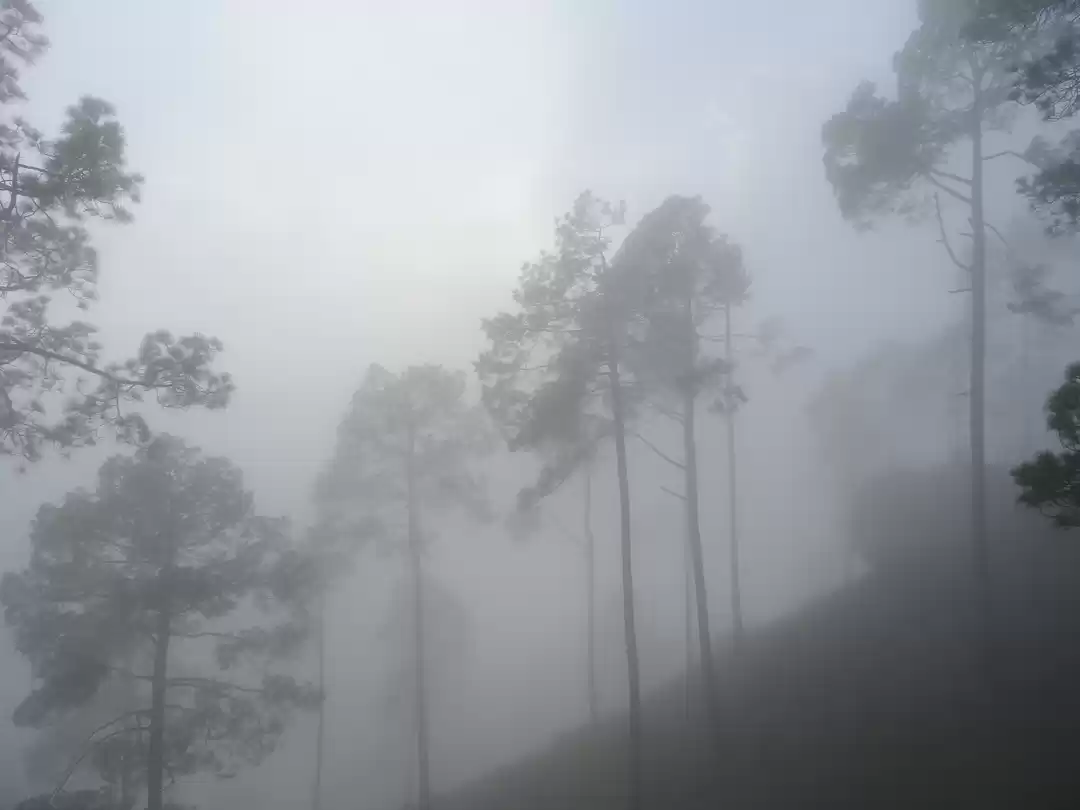 Photo of BEYOND THE COMMERCIA