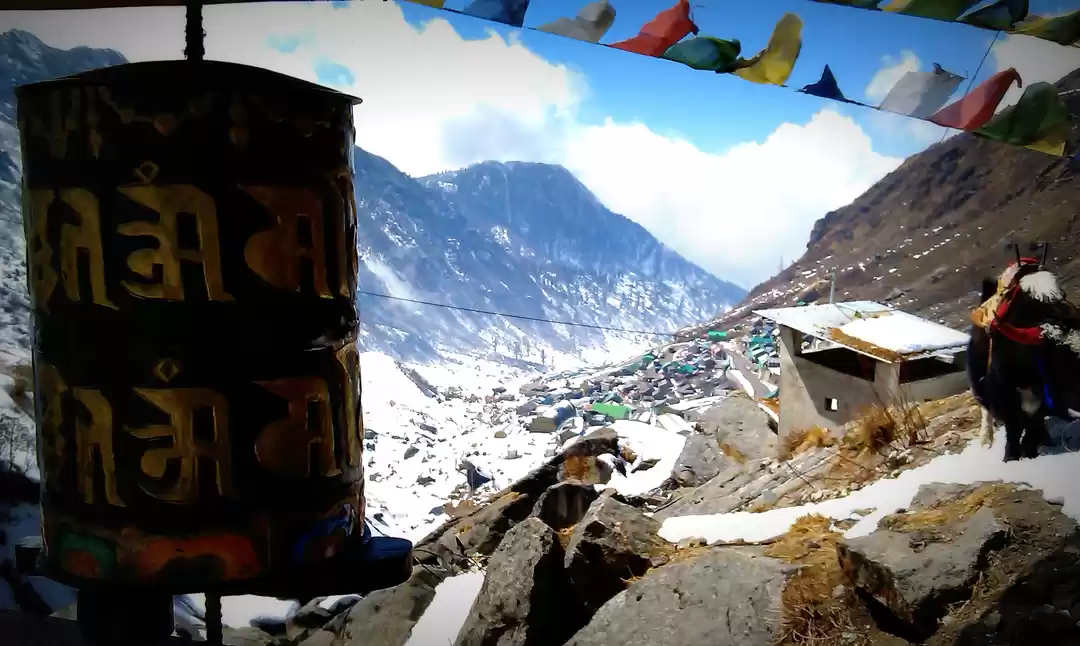 Photo of Breath in the Lama L