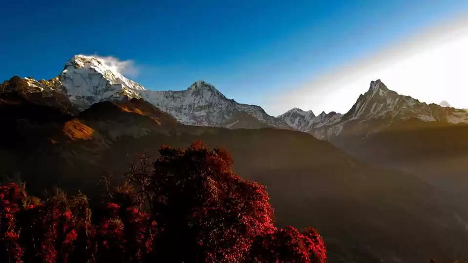 Photo of Christmas & New Year