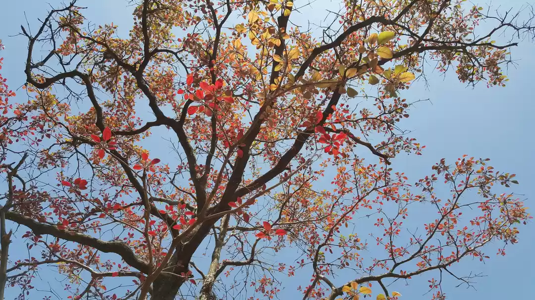 Photo of Malshej ghat during 