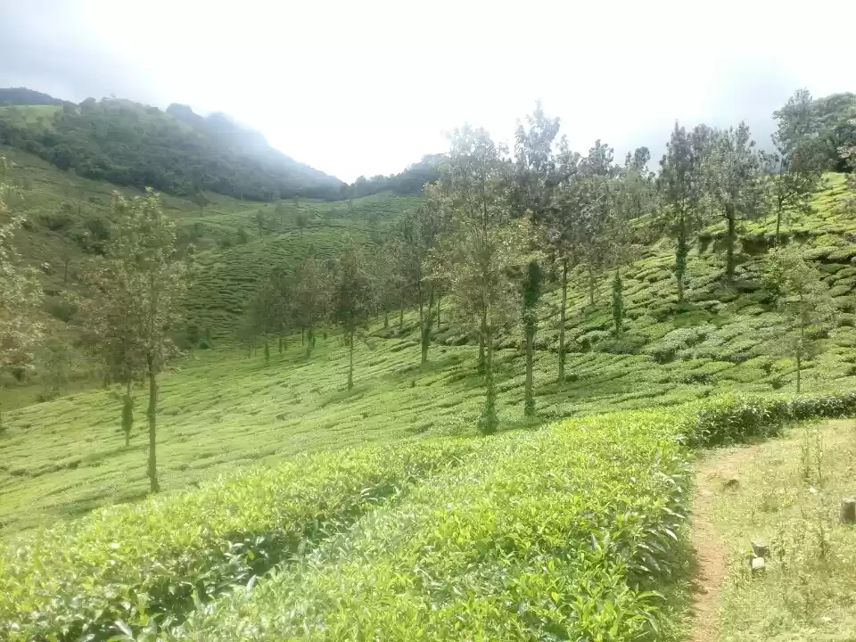 Photo of Wayanad - My first l