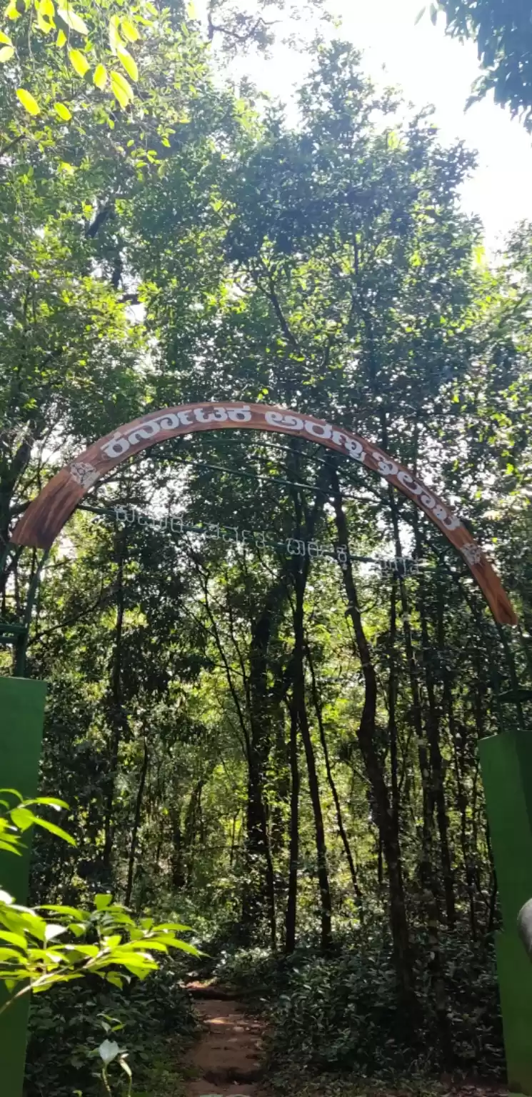 Photo of Trekking to the hard