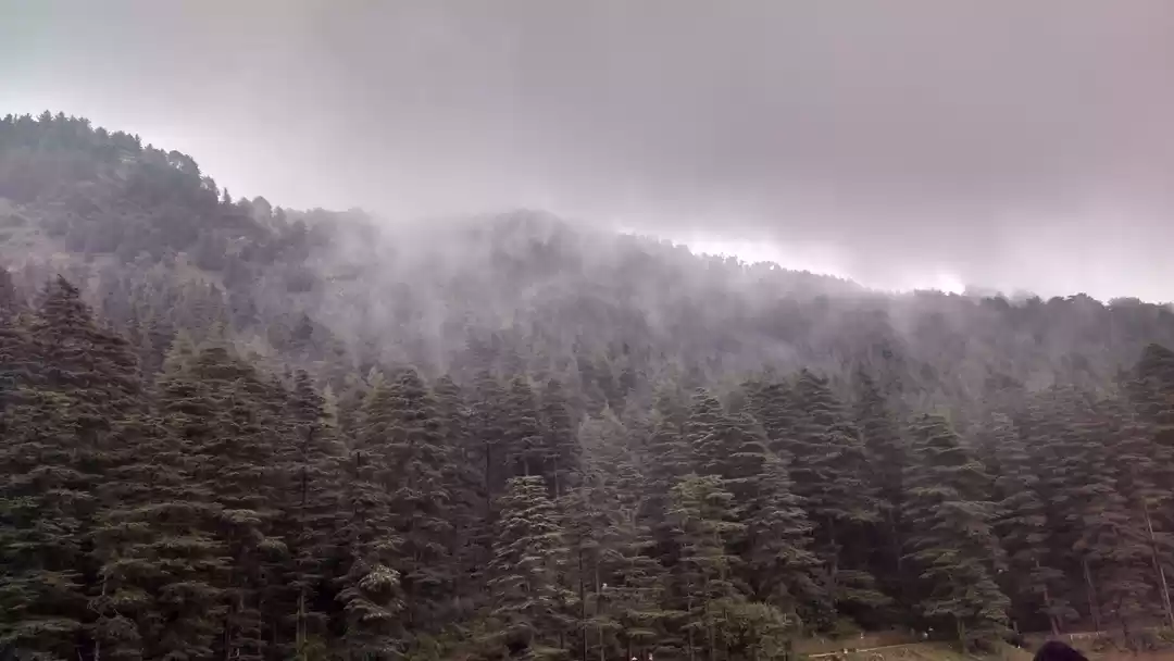 Photo of A Journey through In