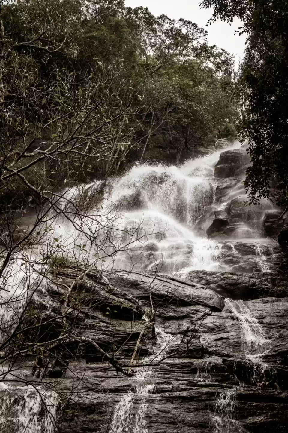 Photo of Yercaud -Places Nea
