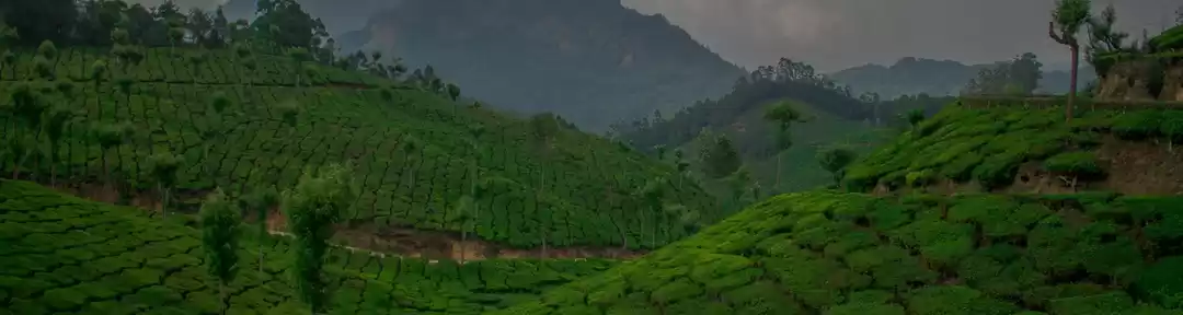 Photo of Best Weekend Places 