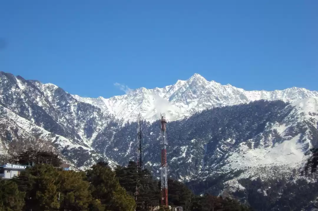 Photo of Joy of Jammu