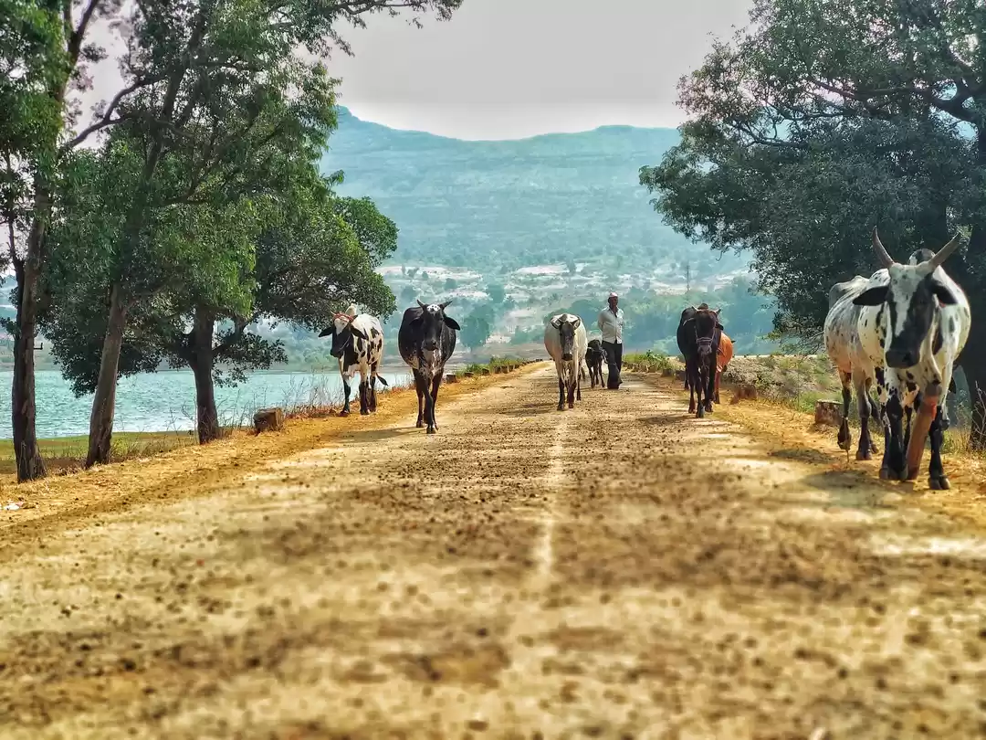 Photo of Upper vaitarana lake
