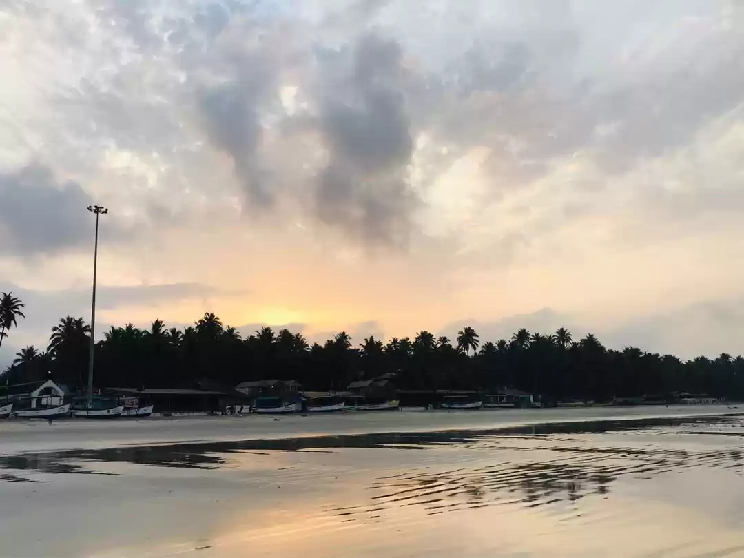 Photo of Favourite summer des