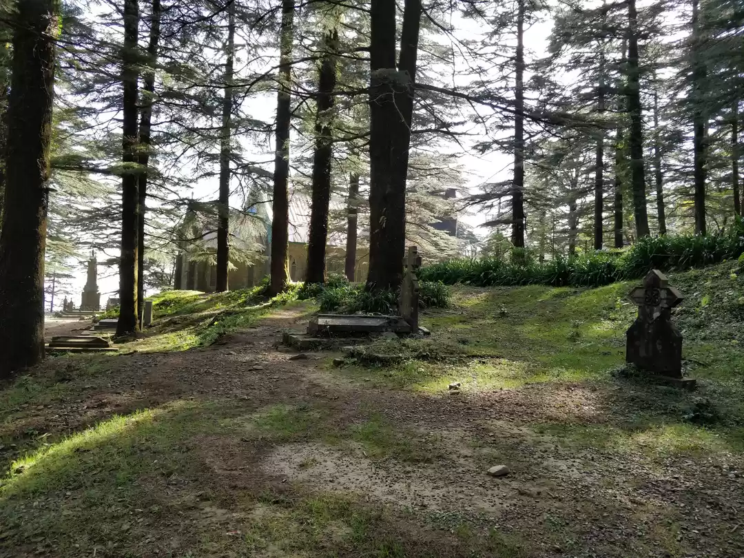 Photo of Family trip to the m