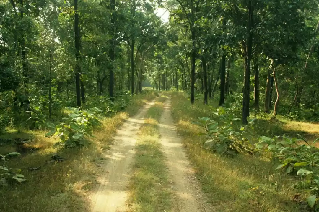 Photo of The Nagzira Memories