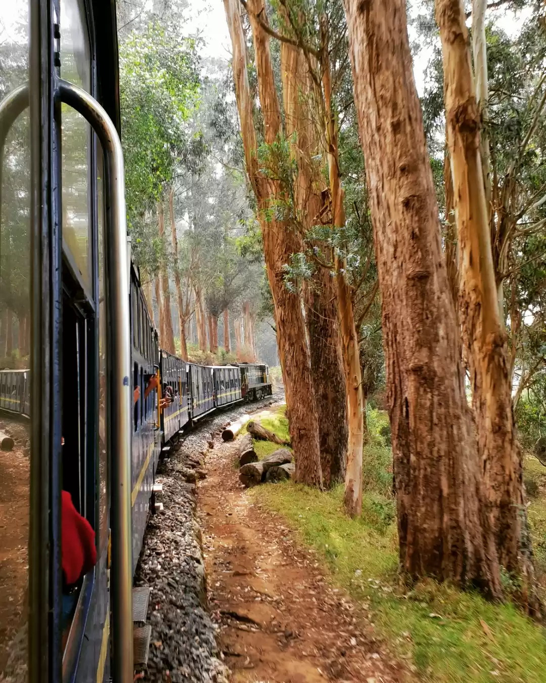 Photo of Ooty.. The Queen of