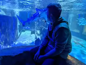 Photo of Seaside Splendor: A