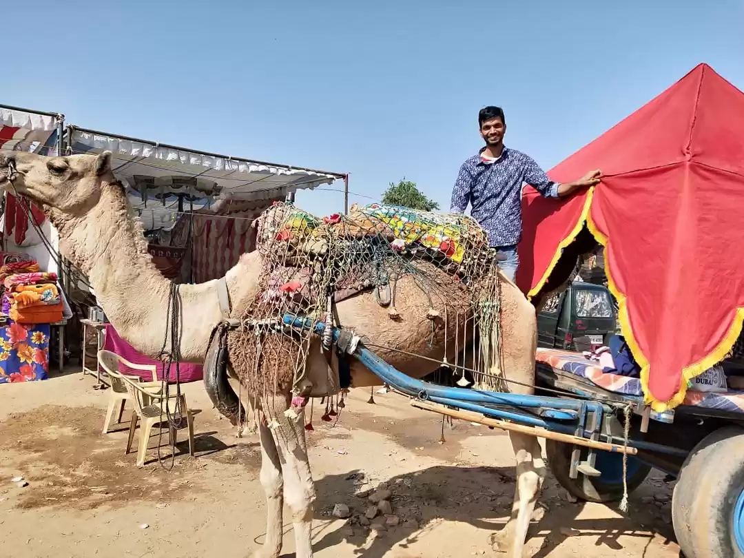 Photo of When its Rajasthan ,