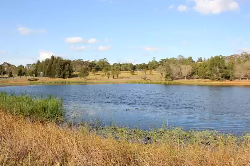 Photo of Mt. Annan Botanical 