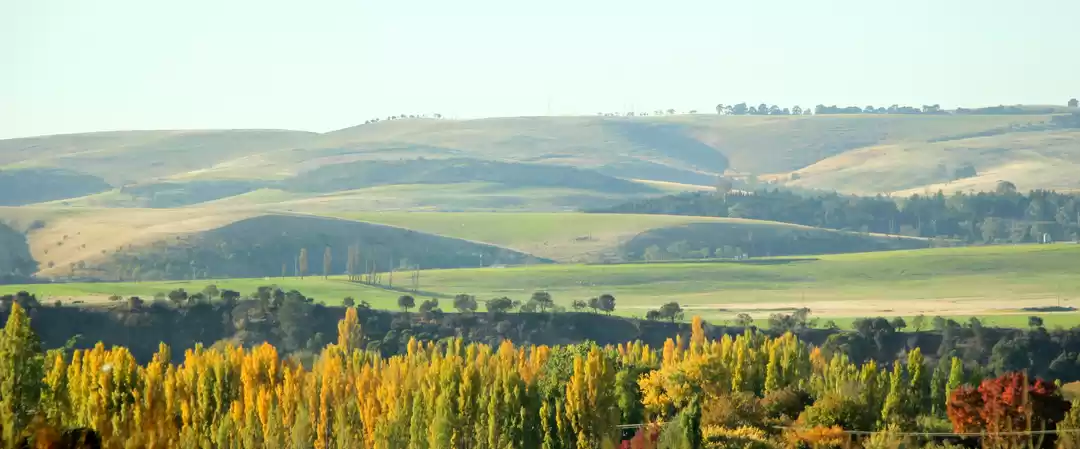 Photo of In Van Diemen’s land