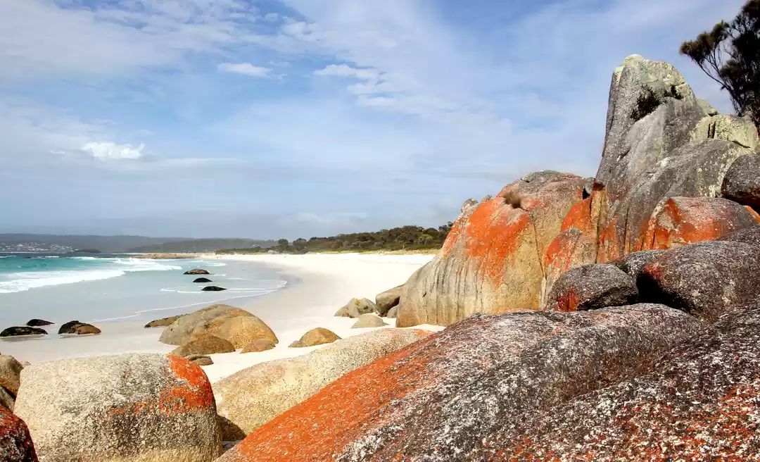 Photo of In Van Diemen’s land