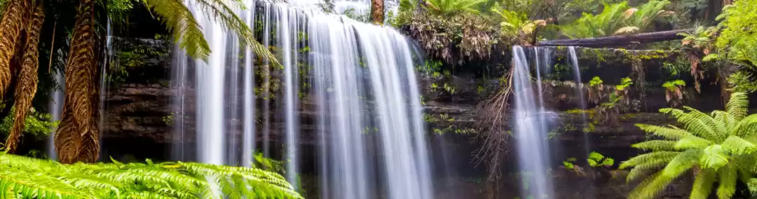 Photo of In Van Diemen’s land