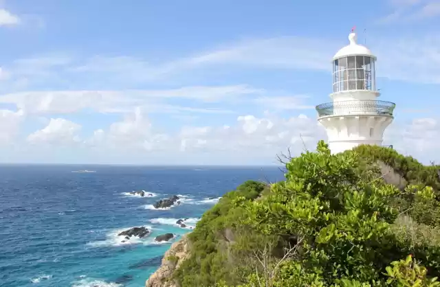 Photo of A Seal-Rock Sunday!