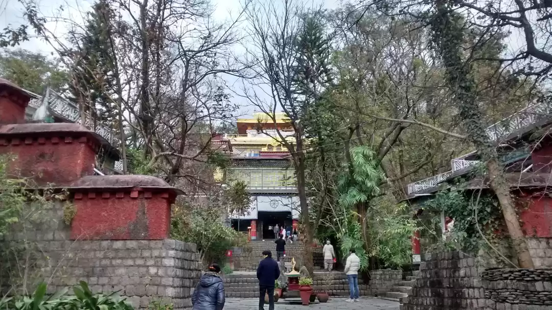 Photo of Dharamshala -- the b