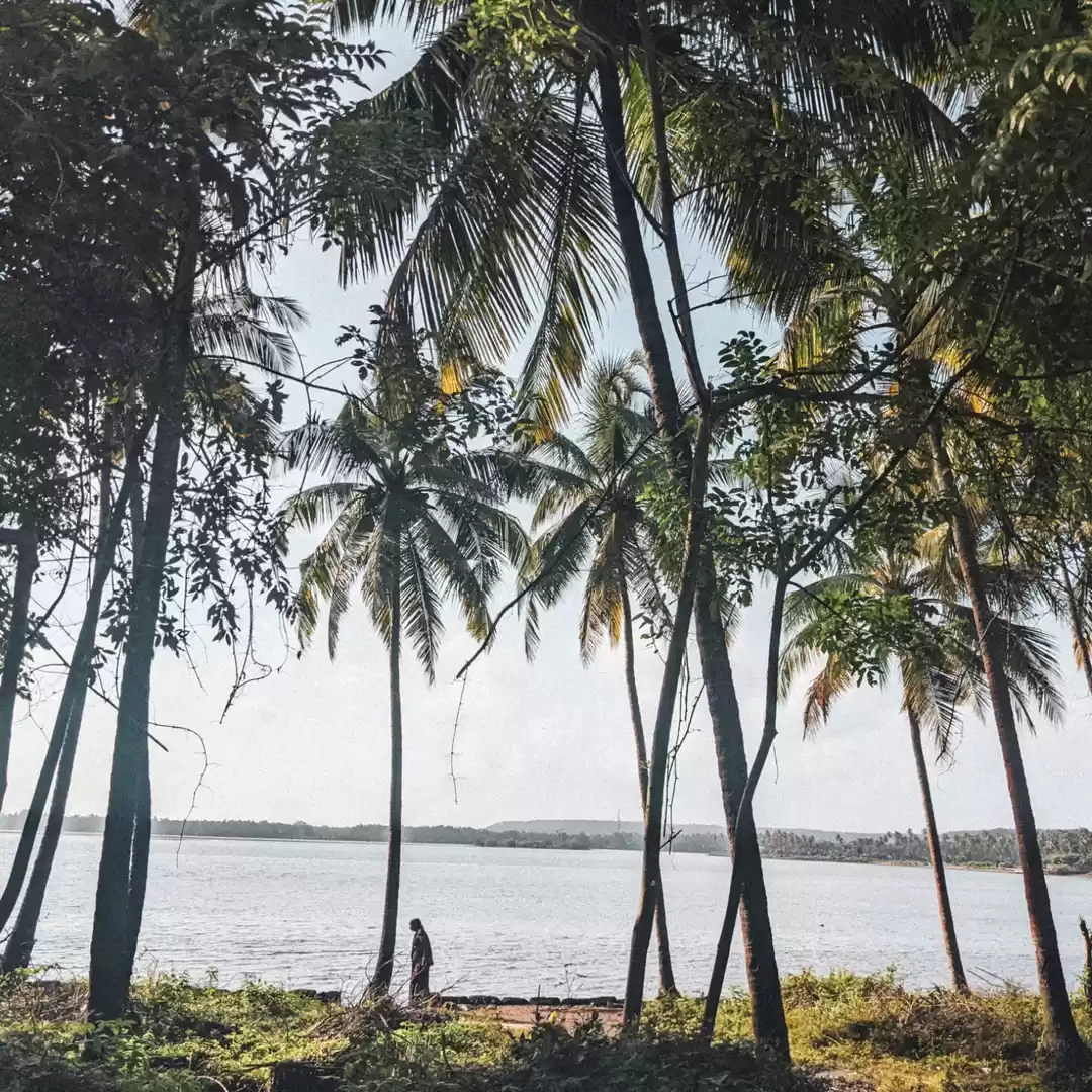 Photo of Goa chapora