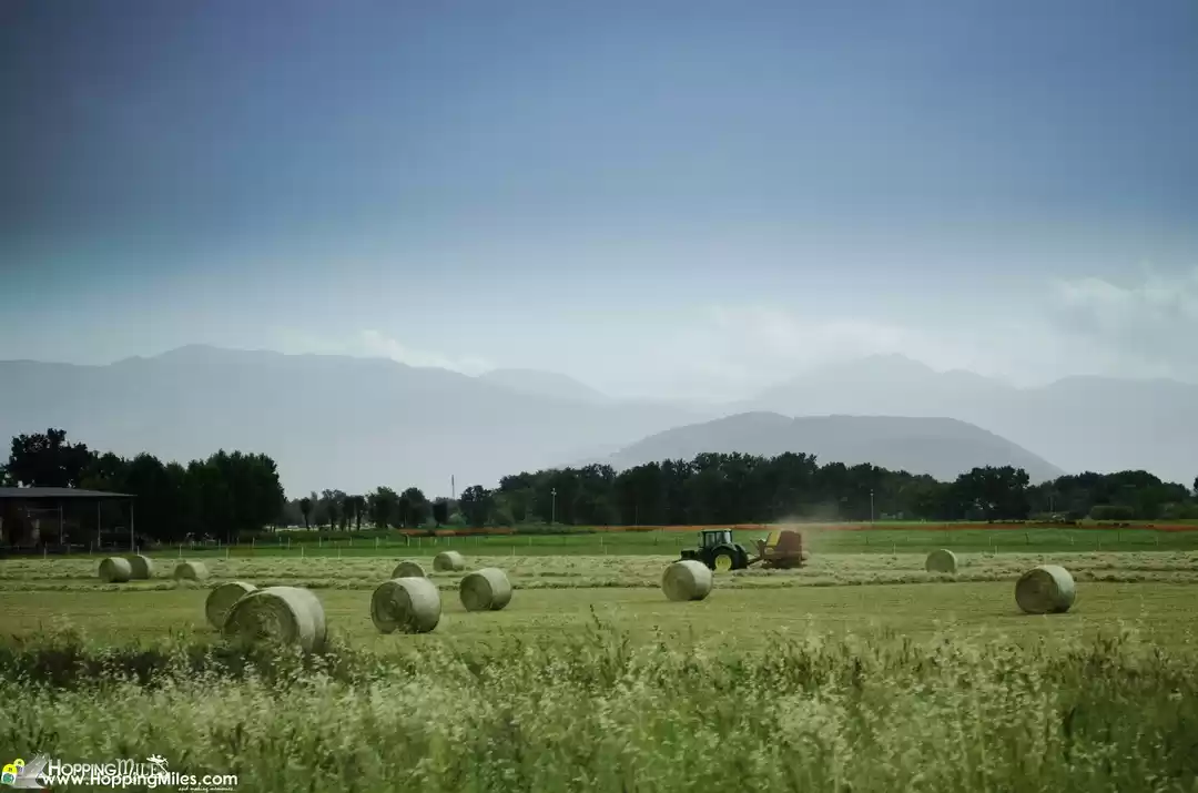 Photo of "Can You Drive In It