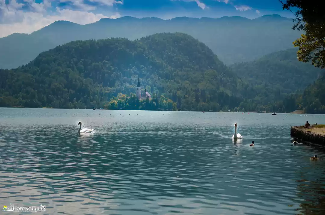 Photo of Slovenia Itinerary