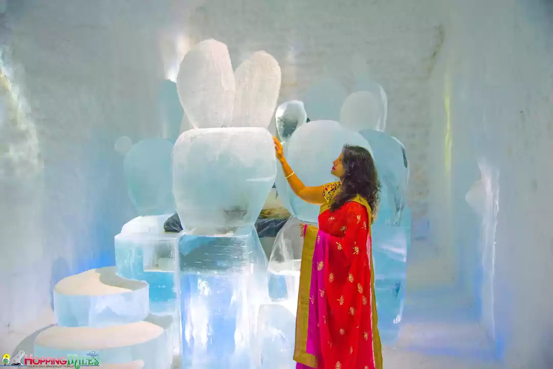 Photo of Travel in a saree -