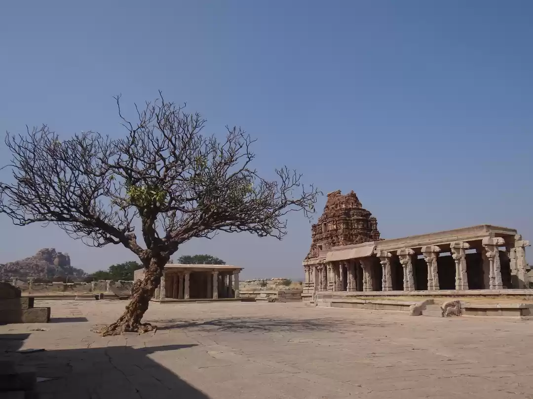 Photo of Don't worry, get Ham