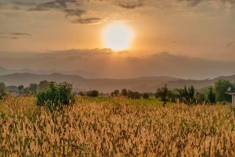 Photo of 10 Of The Best Small