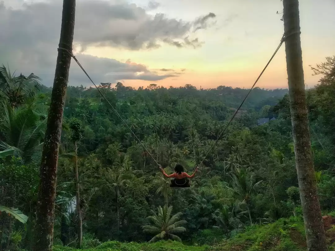 Photo of This is How You Can 