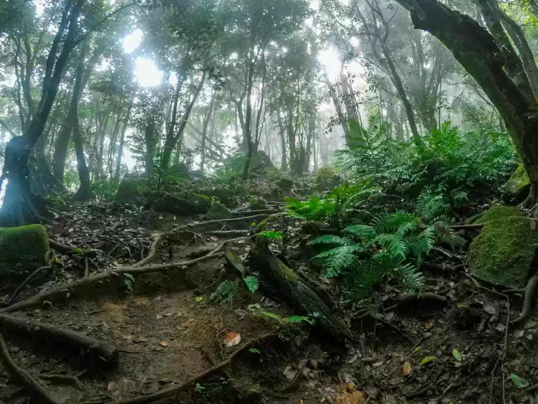 Photo of One of the Best Hike