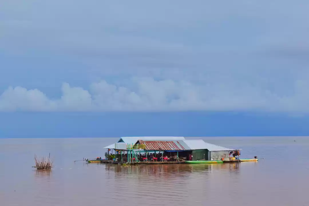 Photo of You Have To Try This