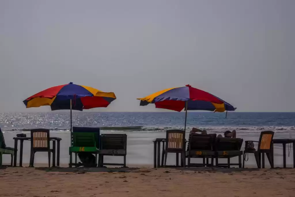 Photo of This is the Best Pla