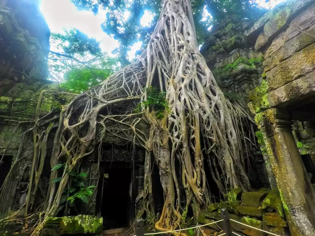 Photo of Top 8 Angkor Wat Tem