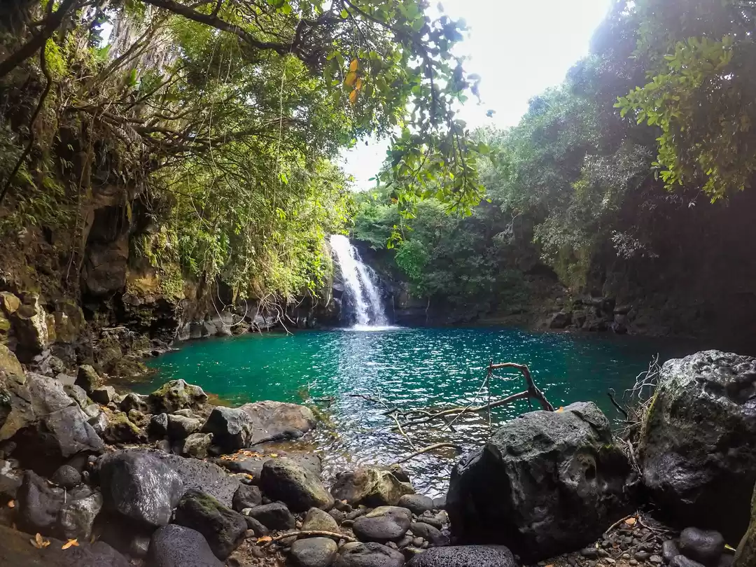 Mauritius Island on X: Eau Bleu #waterfalls is breathtaking