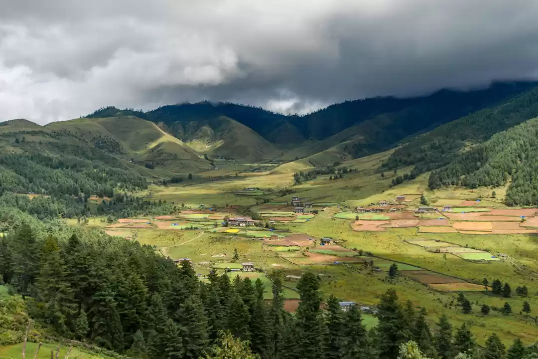 Photo of What Happiness Means