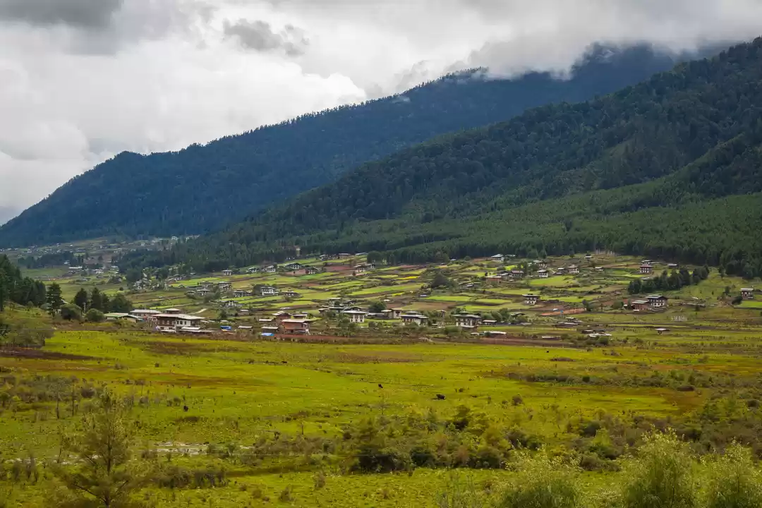 Photo of I Urge You to Includ