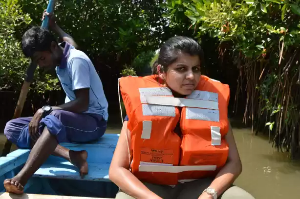 Photo of Groovy Mangroves!