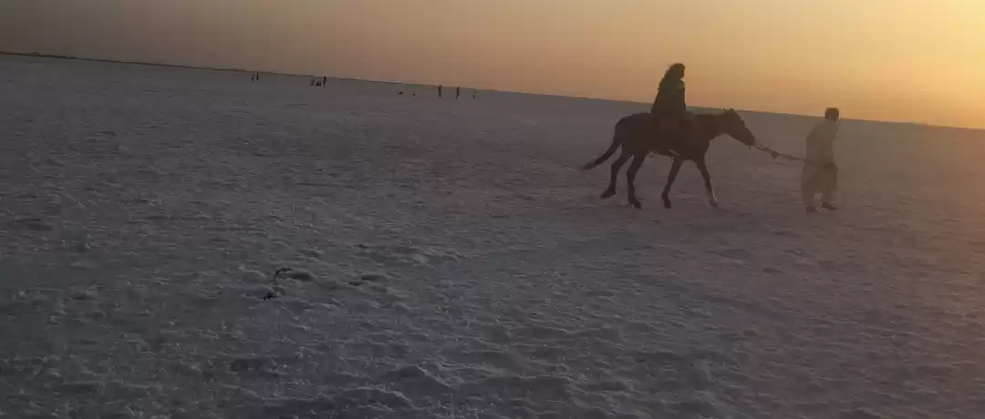 Photo of Kutch- White dessert