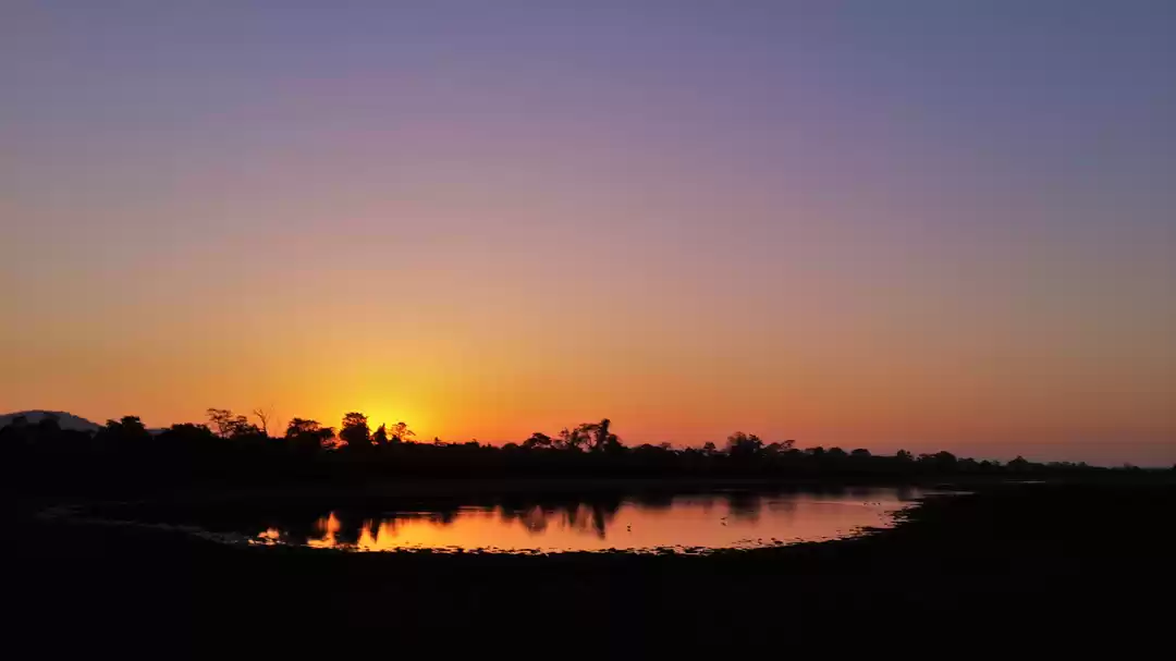 Photo of A Love Letter to Kaz