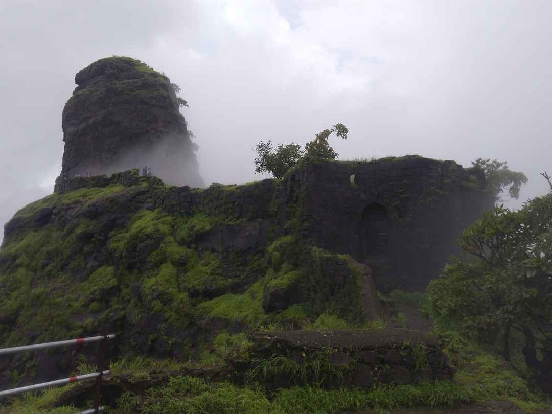 1 Day Trek Near Mumbai Karnala Fort Tripoto Karnala nestled in the nature's lap captures the essence of this natural dream haven in its entire splendor & is trekking path winding though virgin forests, breath of fresh air, the morning mist, the.