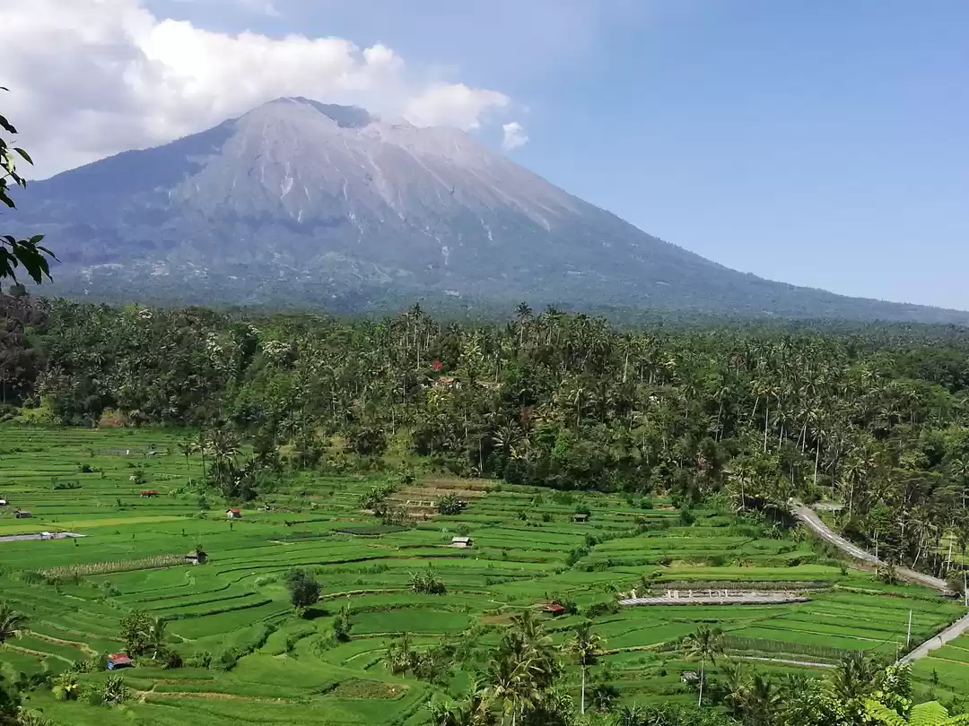 Photo of Bali Travel Guide - 