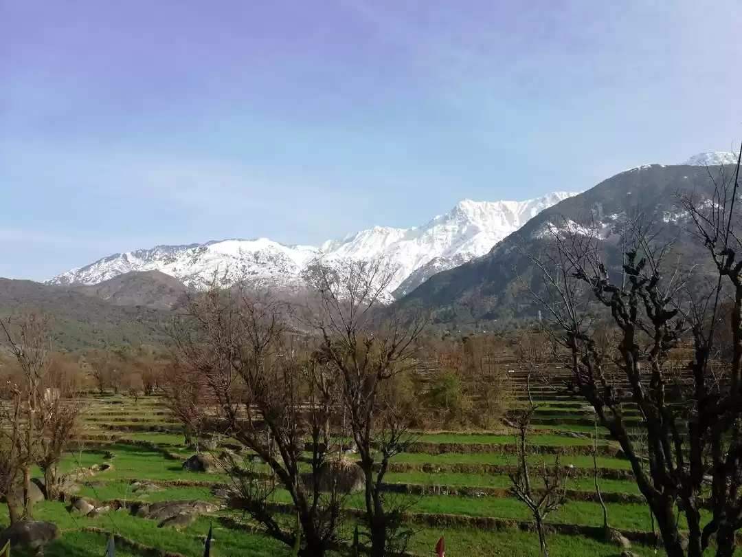 Photo of Chandigarh-Dharmasha